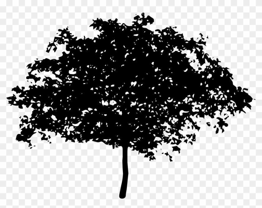 Download - Arbol Vector Silueta Png Clipart