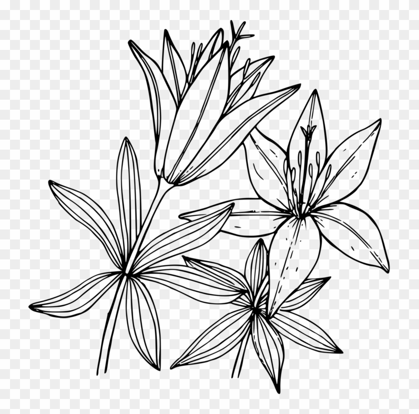 Wood Lily Flower Coloring Book Floral Design - Lily Coloring Pages Clipart #1297584