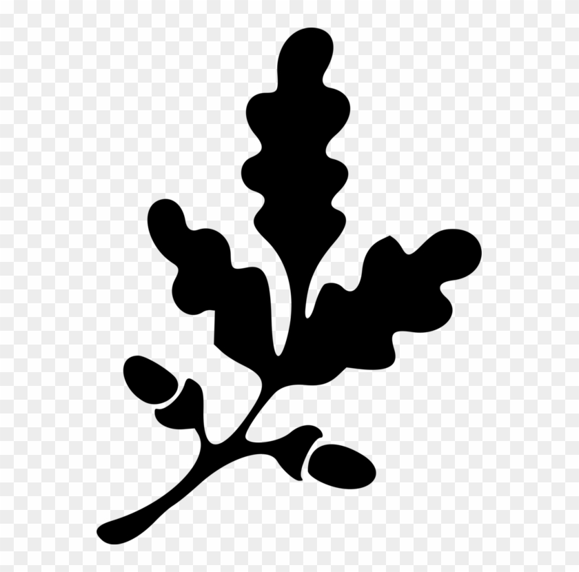 559 X 750 2 - Oak Leaf Clipart Black And White - Png Download #1297927