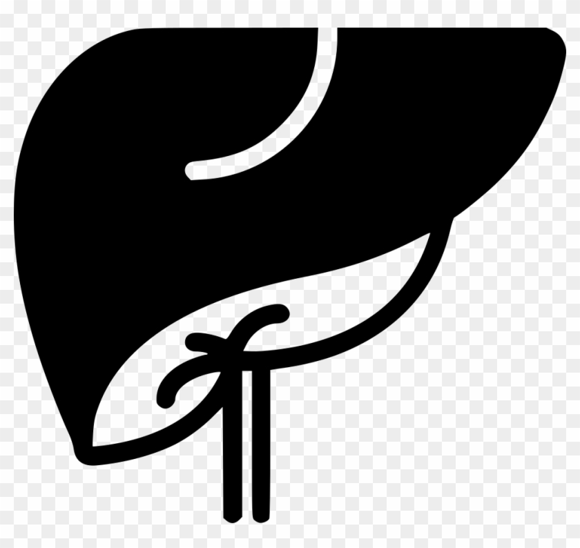 Png File Svg - Liver Icon Png Clipart