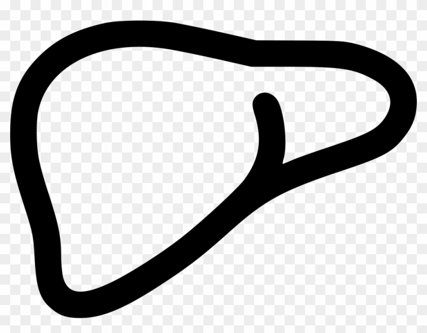 Png File Svg - Liver Svg Clipart #1298294