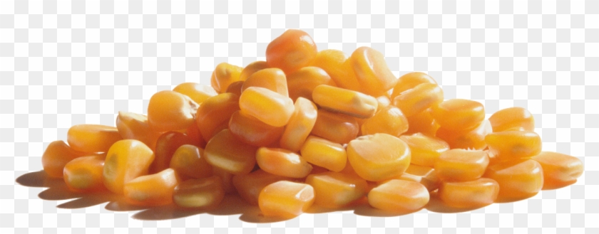 Wabash Valley Farms Popcorn - Corn Kernels Clipart