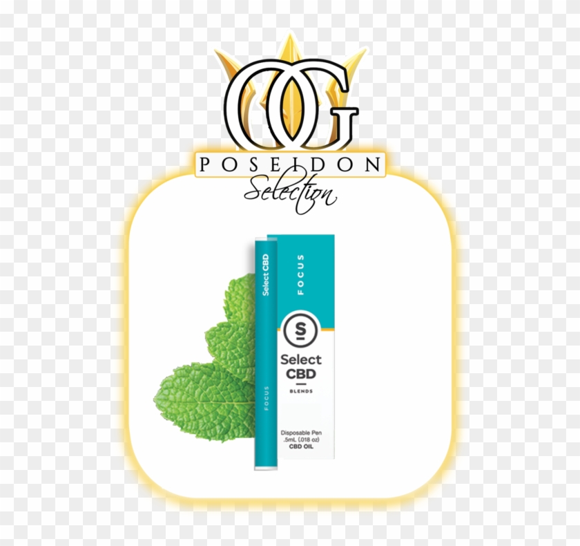 Focus Peppermint Vape Pen - Select Cbd Vape Pen Clipart