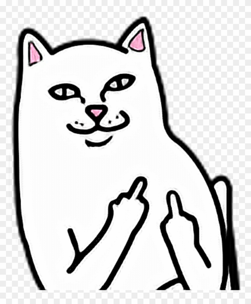 #cat #fuck #you #fuckyou # - Middle Finger Cat Png Clipart #1299227
