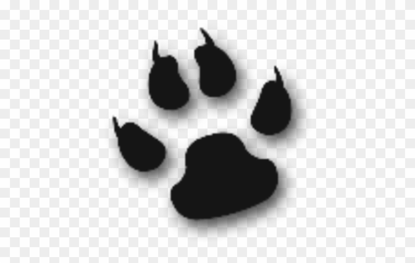 Paw Clipart Animal - Cat Paw Image Transparent - Png Download