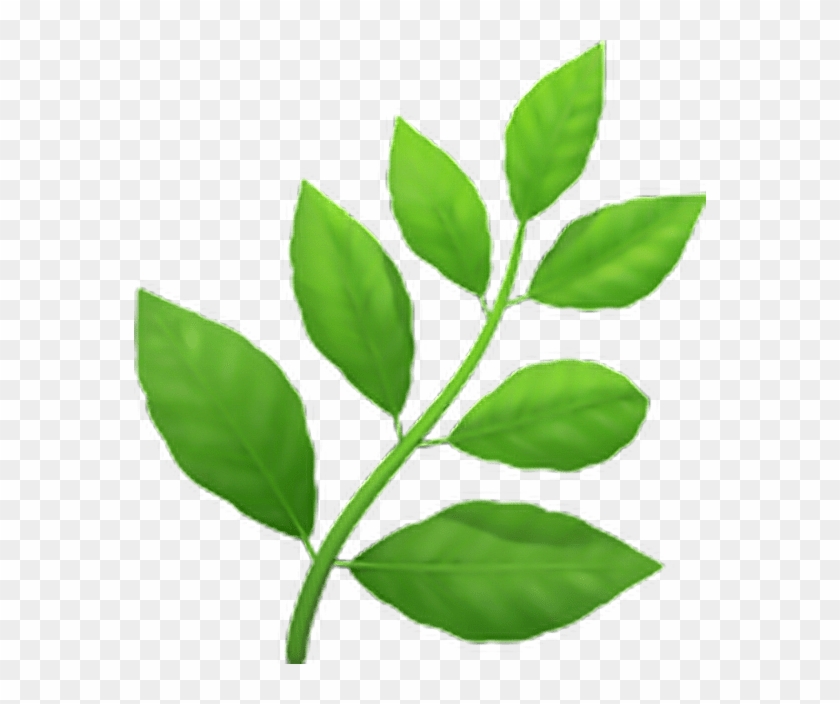 Transparent Emoji Flower Stem - Transparent Herb Emoji Clipart