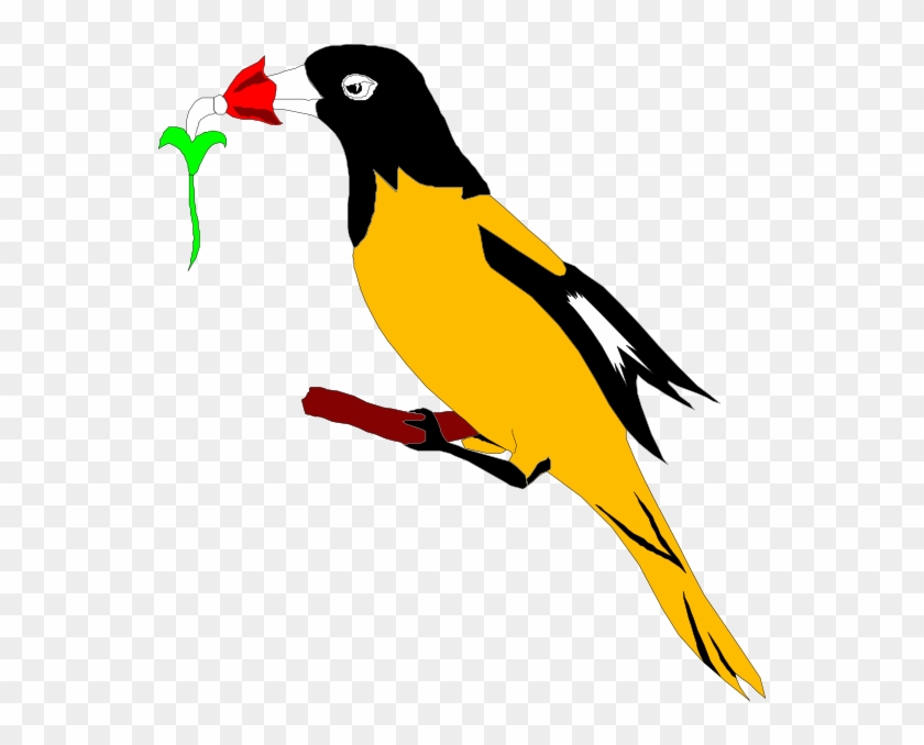 Oriole With Flower Svg Clip Arts 552 X 598 Px - Png Download #130380