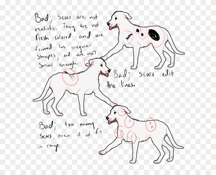 Are Examples Of Bad Scars And Why They Would Get Rejected - Line Art Clipart