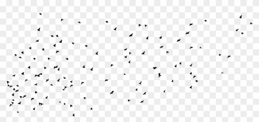 Bird Png - Transparent Background Bird In Sky Png Clipart