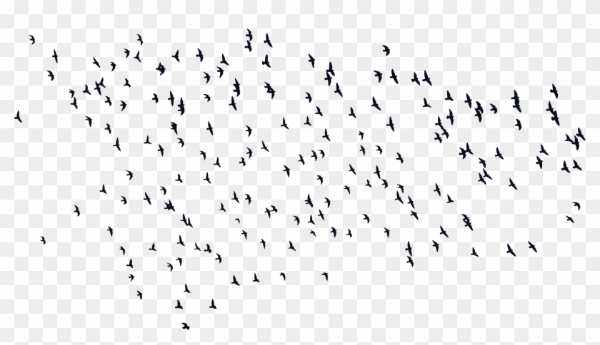 Big Image - Birds Silhouette Png Clipart