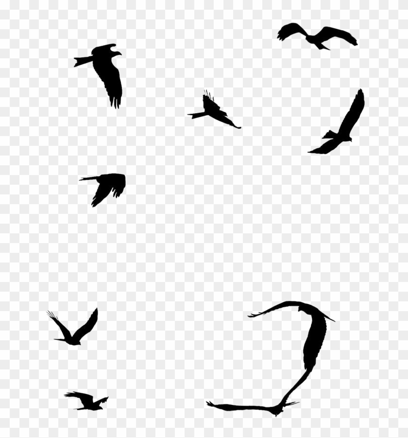 Ocean Birds Png File - Birds Silhouette Flying Away Png Clipart #131771
