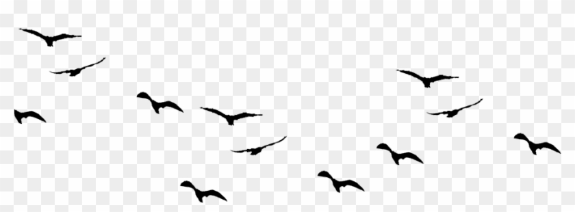 Birds-960x876 - Flock Clipart #132077