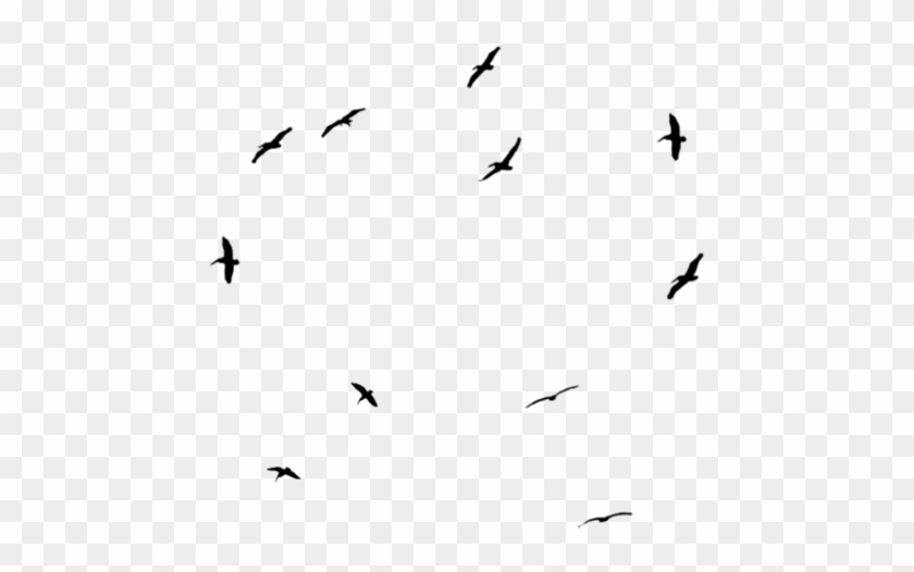 Birds Sticker - Flock Clipart #132521