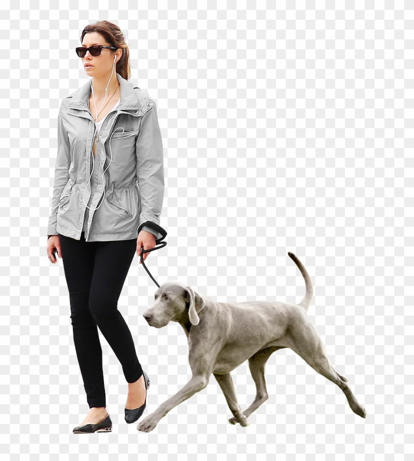 Man Walking Dog Png - Person Walking Dog Png Clipart