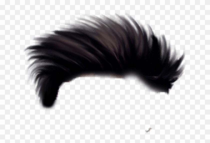 Best Hair Png For Editing - Png Hair Styles Picsart Clipart