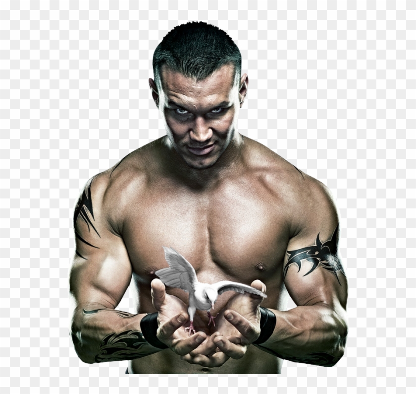 Randy Orton Png Clipart - Randy Orton No Mercy Transparent Png #134055