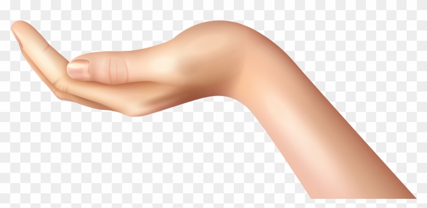 Woman Hand Holding Png Clipart #134299