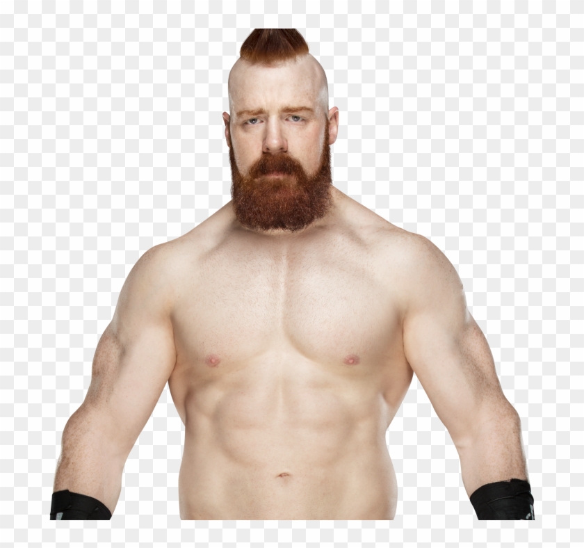 Wwe John Cena And Randy Orton - Wwe Sheamus Png 2018 Clipart