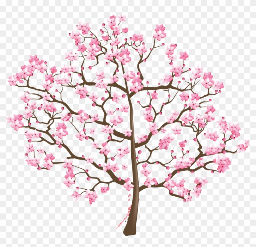 Cherry Blossom Tree Suzuki Association Of The Americas - Cherry Blossom Clipart