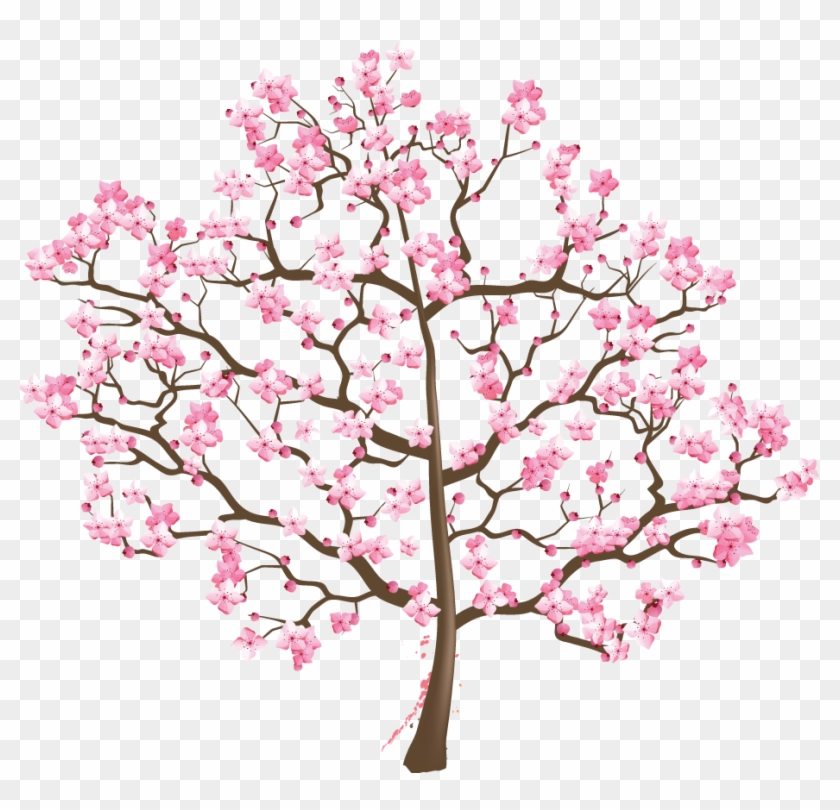 Cherry Blossom Tree Suzuki Association Of The Americas - Cherry Blossom Clipart #135425