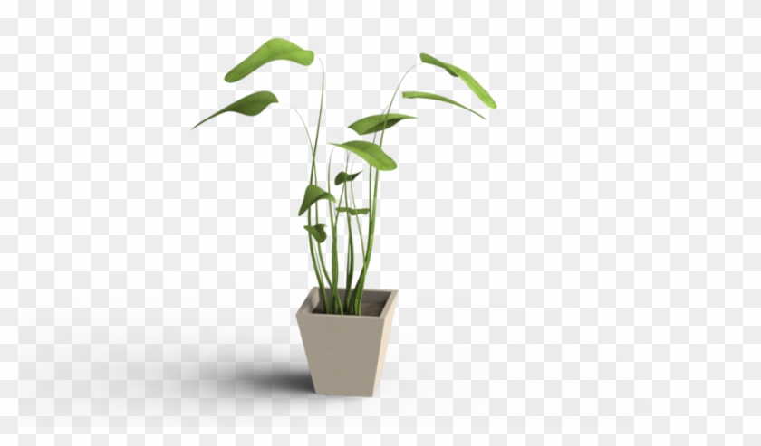 Flower Pot 3d Png Clipart