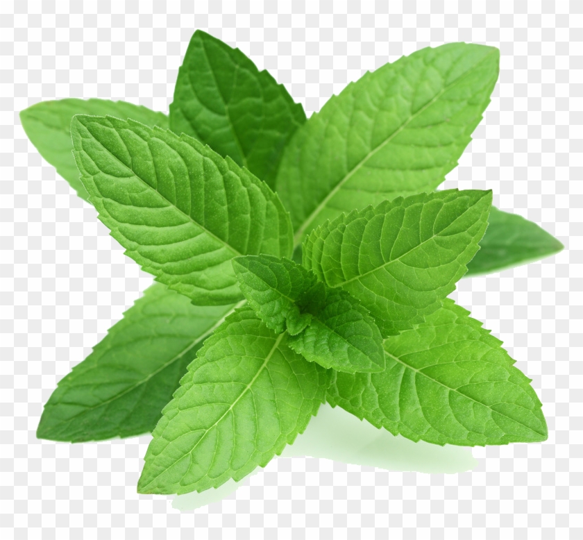 Mint Png Transparent Picture - Peppermint Leaf Clipart