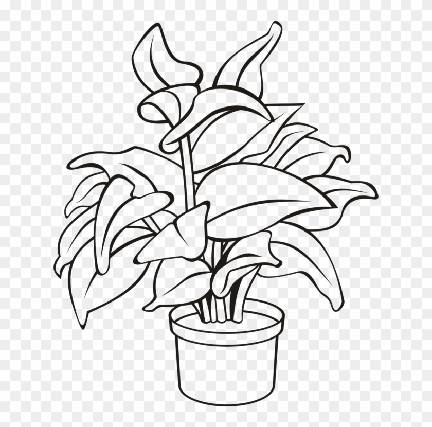 Flowerpot Houseplant Plants Leaf - Outline Of A Plant Clipart #135893