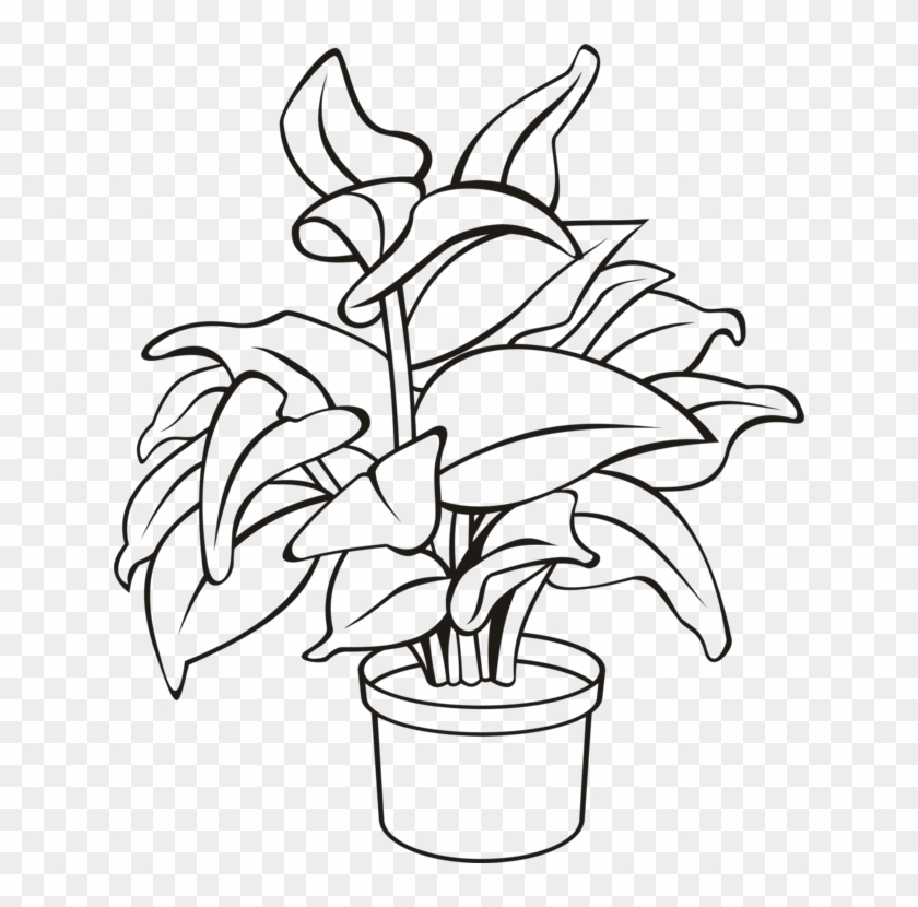 Flowerpot Houseplant Plants Leaf - Outline Of A Plant Clipart