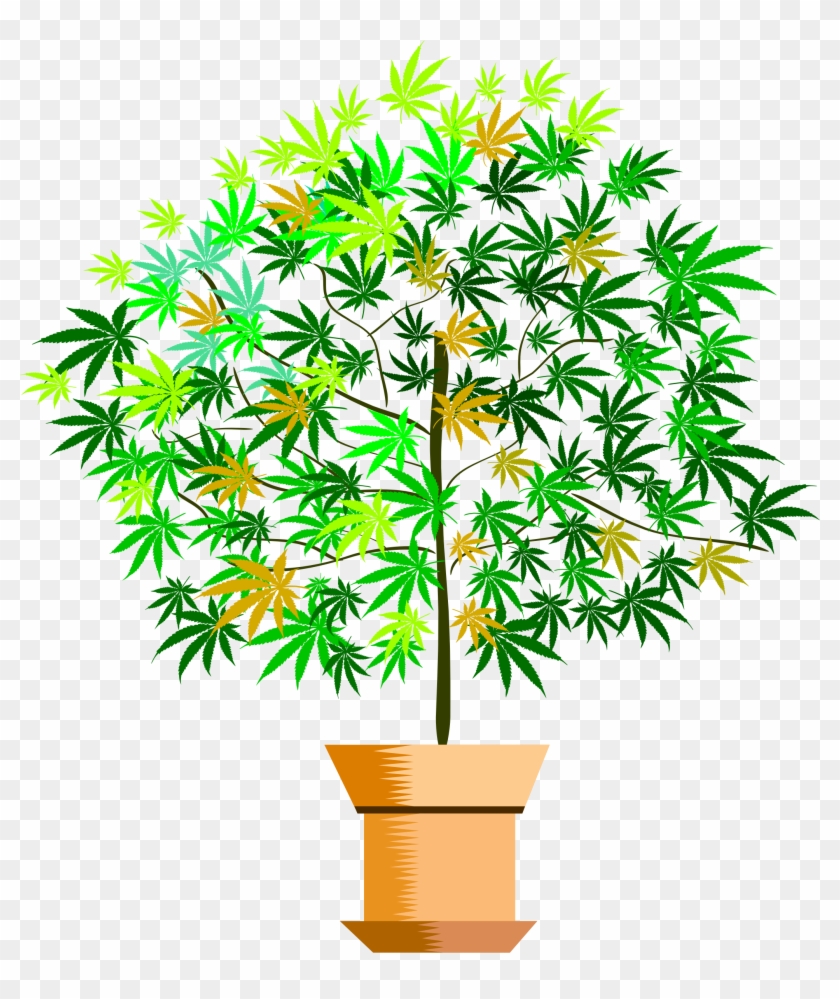 Potted Plant Png - Houseplant Clipart #135922