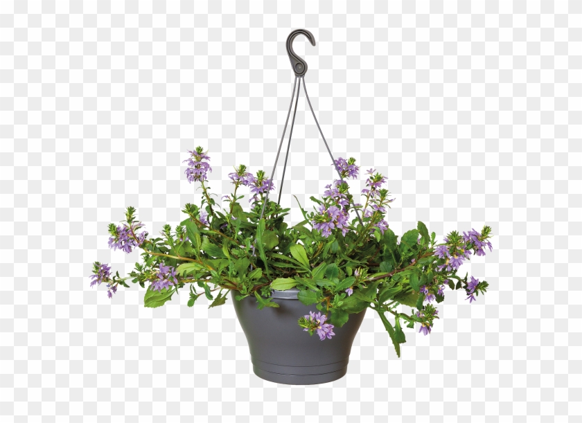 Diy Flower Pots Creative And Environmentally Friendly - Hanging Pot With Flower Plant Clipart #135949