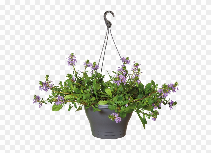 Diy Flower Pots Creative And Environmentally Friendly - Hanging Pot With Flower Plant Clipart