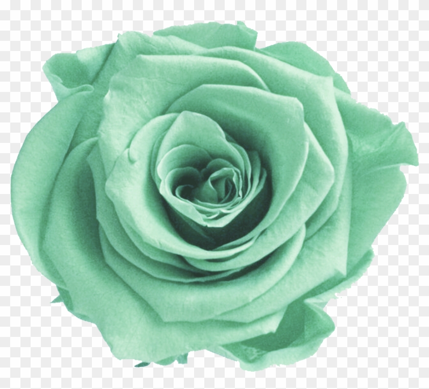 Mint Transparent Flower Crown Clipart #135998