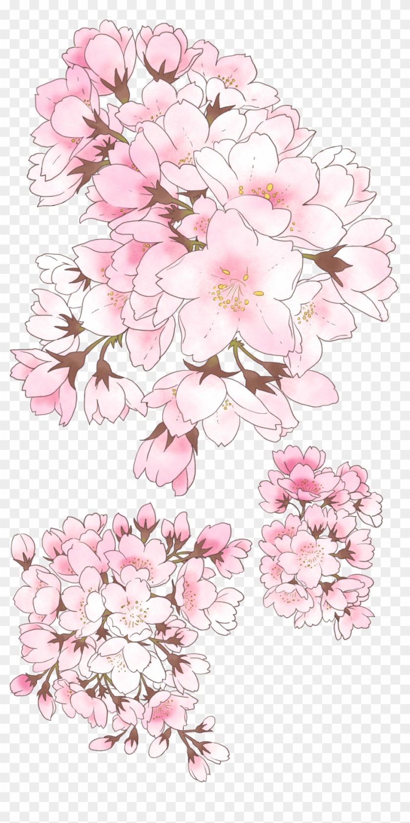 09 Anime Cherry Blossom, Tree Illustration, Botanical - Anime Cherry Blossom Drawing Clipart #135999