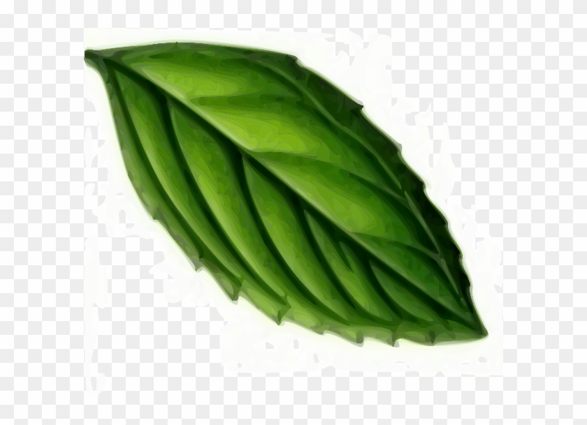 Mint High Quality Png - Mint Leaf Clip Art Transparent Png #136022