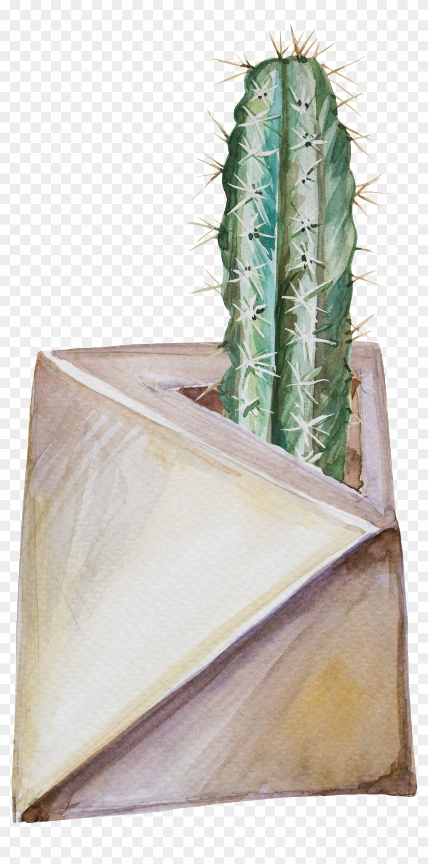 Exquisite Hand Painted Plant Potted Transparent - Cactus Clipart #136616