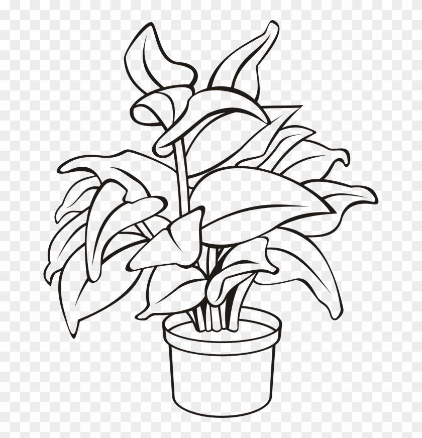 Medium Image - Outline Of A Plant Clipart #136764