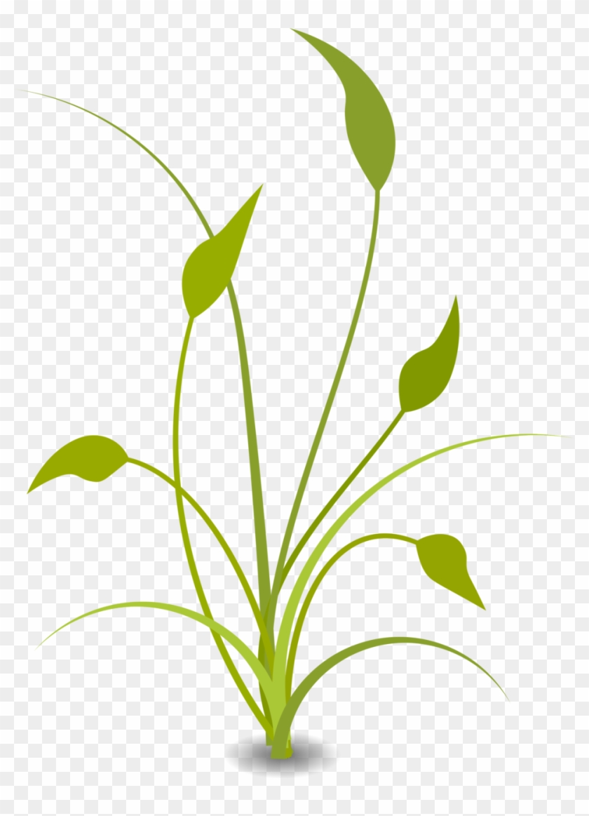Potted Plants Clipart Seedling - Sorry Forgive Me My Dear - Png Download
