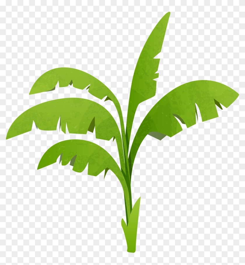 Potted Plants Clipart Transparent Background - Transparent Png Banana Tree #136950