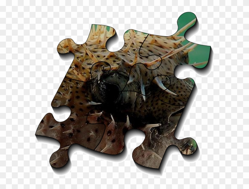 I'll Start To Provide Puzzle Pieces - Jigsaw Puzzle Clipart #137017