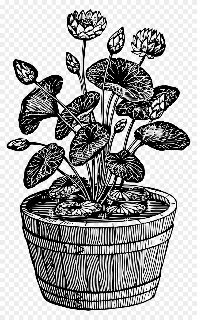 Flowerpot Houseplant Drawing Plants - Black And White Potted Plant Clipart #137123