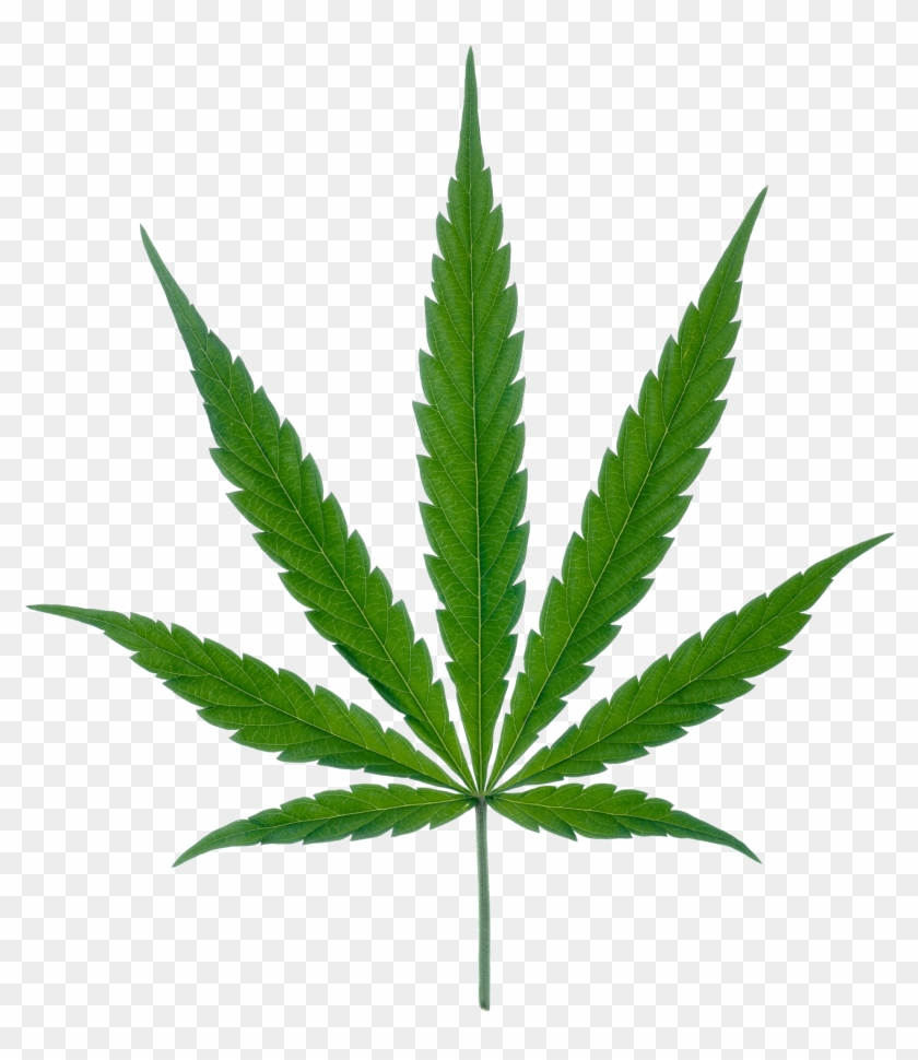 Weed Plant Clipart #138123