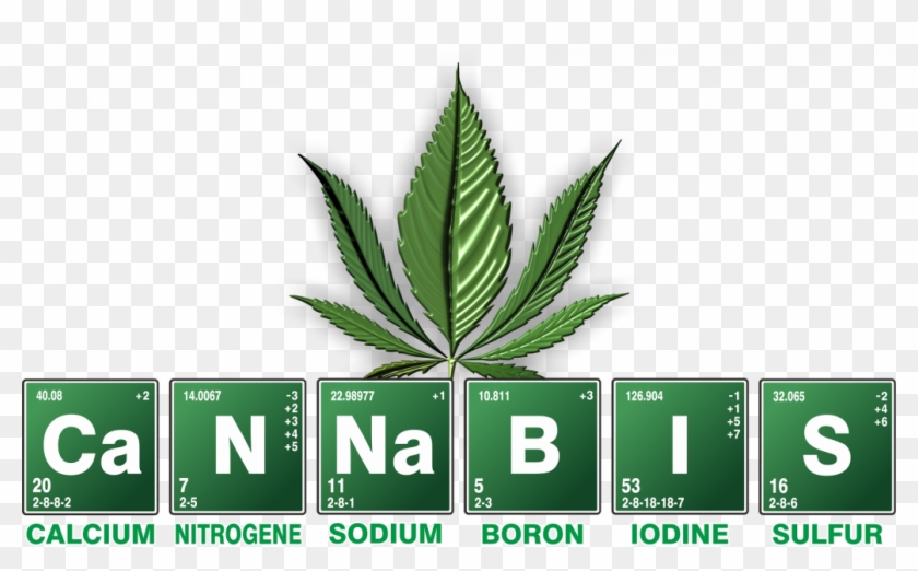 The History Of Cannabis Explained - Cannabis 2018 Clipart