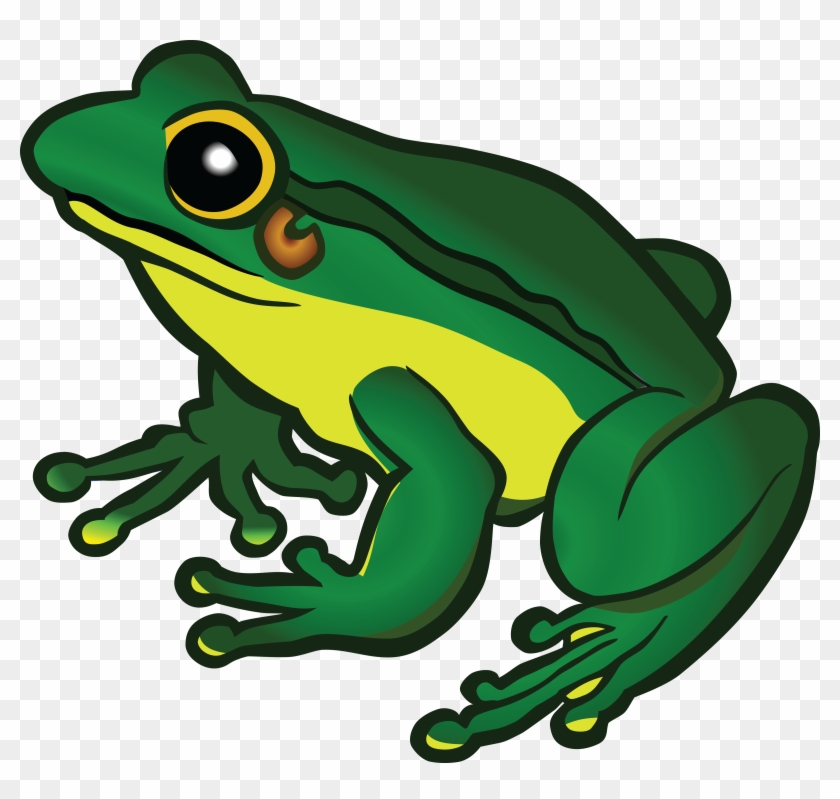 Frog Clipart Graphics Illustrations Free Download On - Transparent Background Frog Png #138714