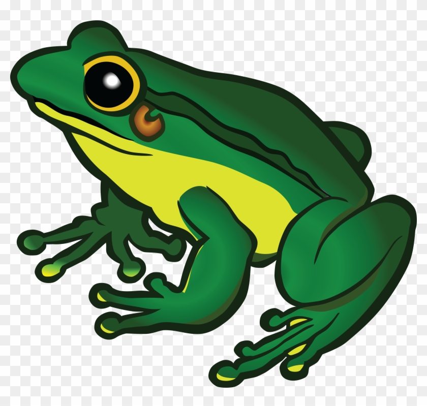 Frog Clipart Graphics Illustrations Free Download On - Transparent Background Frog Png