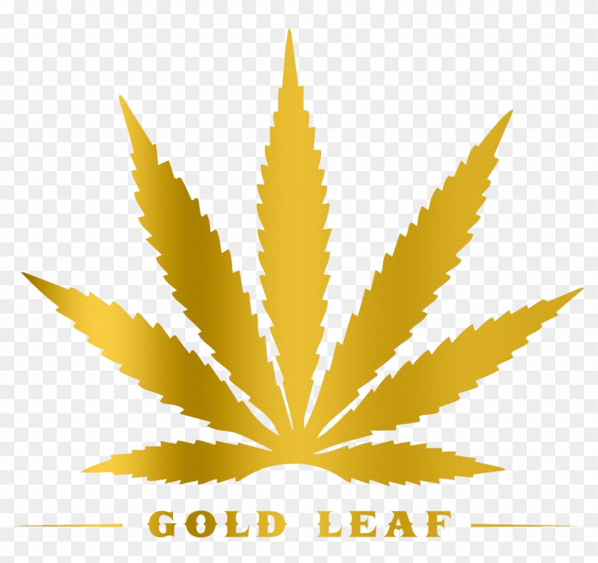Gold Leaf Beer - Smoke Weed Everyday Weed Clipart