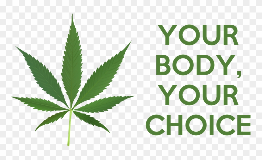 The Libertarian Argument For Legalizing Marijuana - Your Body Your Choice Marijuana Clipart #139220