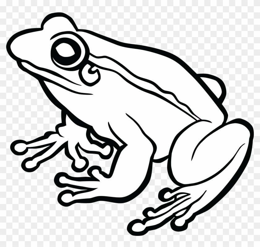 Jpg Freeuse Frog Black And White Clipart - Black And White Frog Clip Art - Png Download #139328