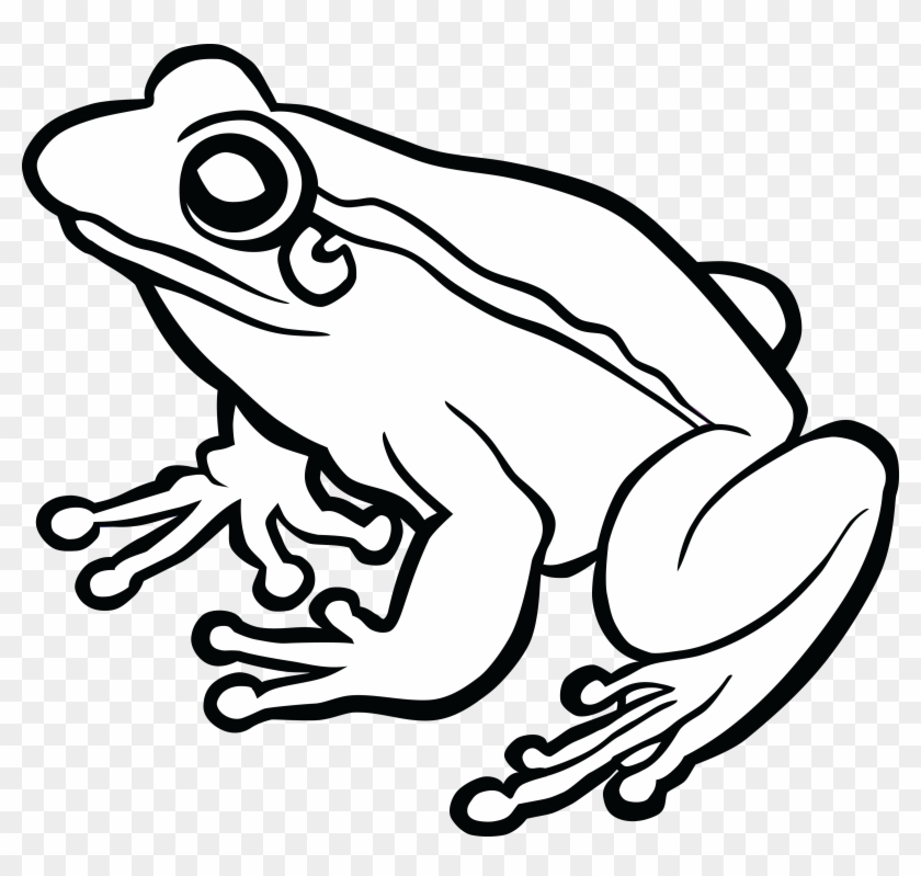Jpg Freeuse Frog Black And White Clipart - Black And White Frog Clip Art - Png Download