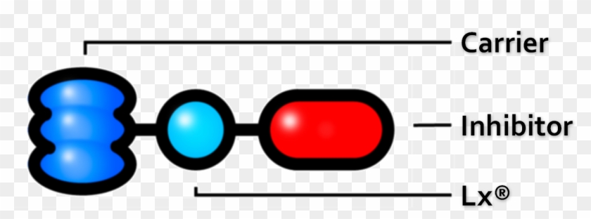 Linxis Liver Products, Termed Lxl 001, 002 And 003, - Circle Clipart