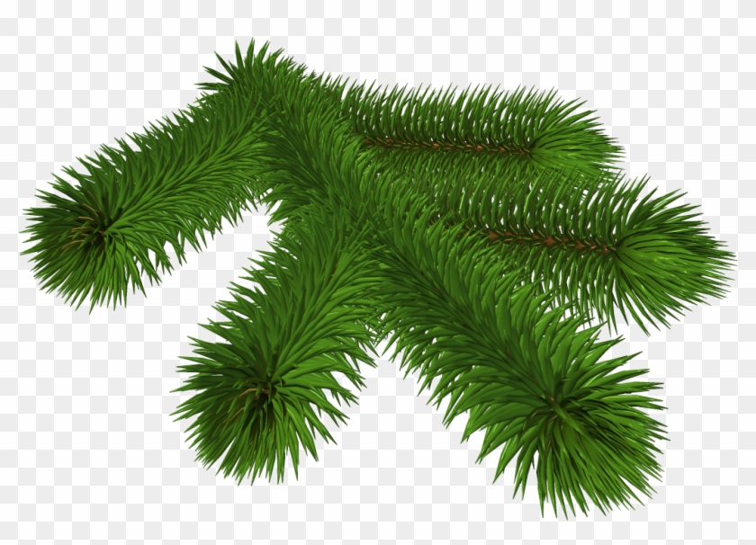 Transparent Pine Branch 3d Clipart - Christmas Branch Transparent - Png Download
